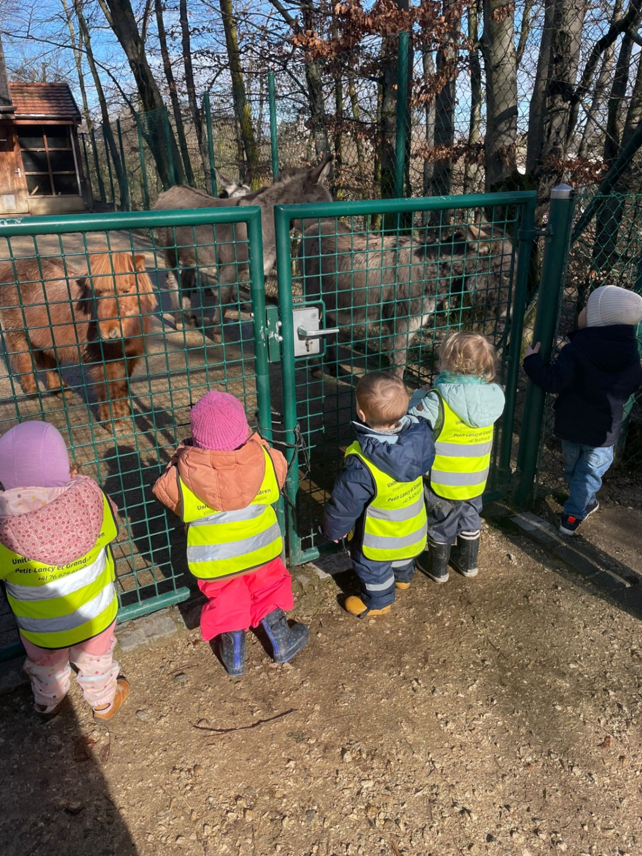 Sortie pédagogique nature – enfants en exploration encadrée à Petit-Lancy Genève